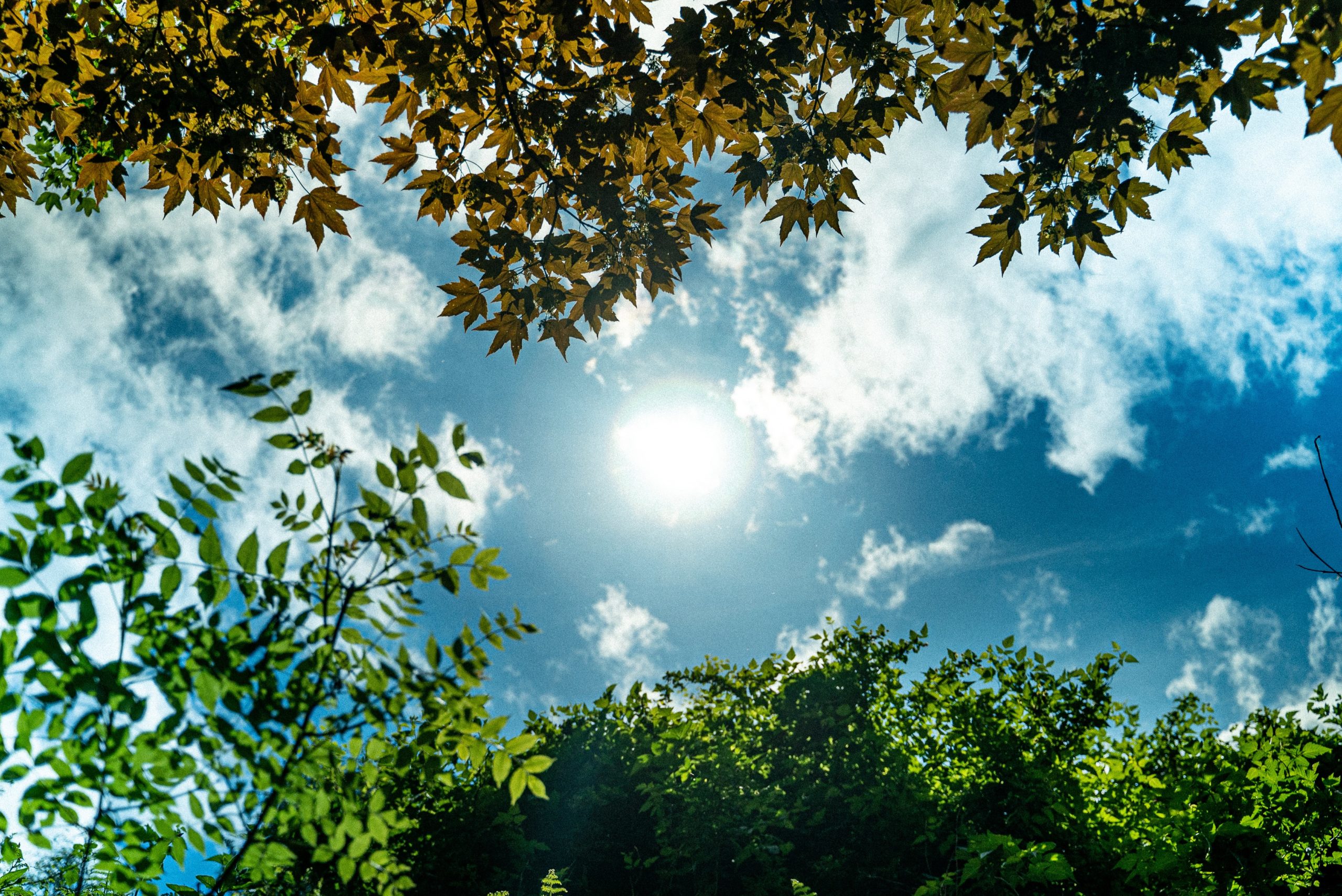 Headache From Sunlight? Causes & Remedies