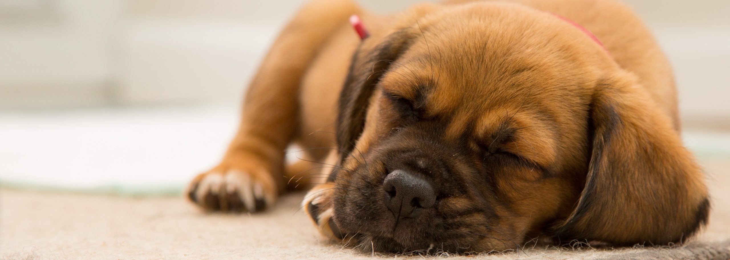 5 Sleeping Tips For People With Migraine at Night