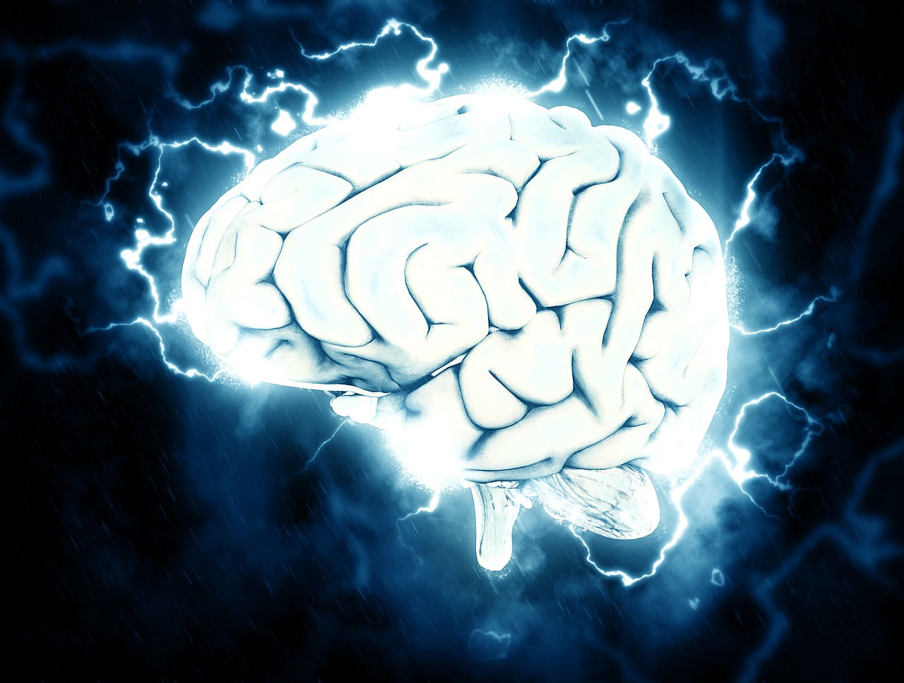 Hemiplegic Migraine Guide