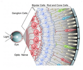 Light Sensitivity and Ocular Migraines