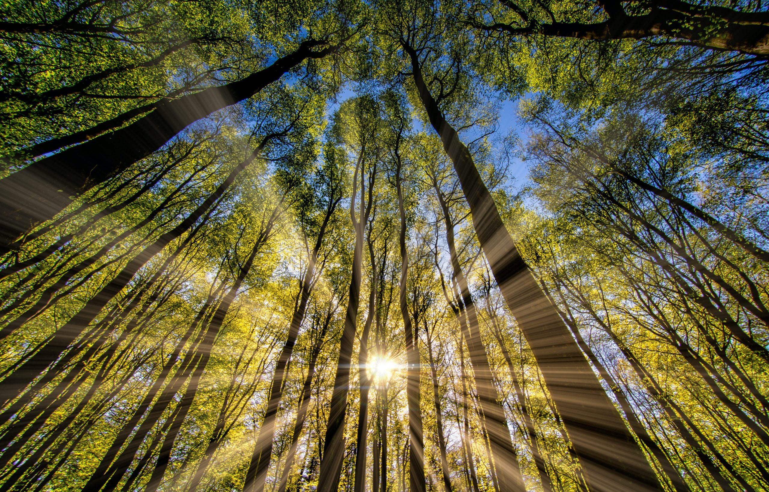 Eyes Sensitive to Sunlight? Why It Happens and How to Fix It