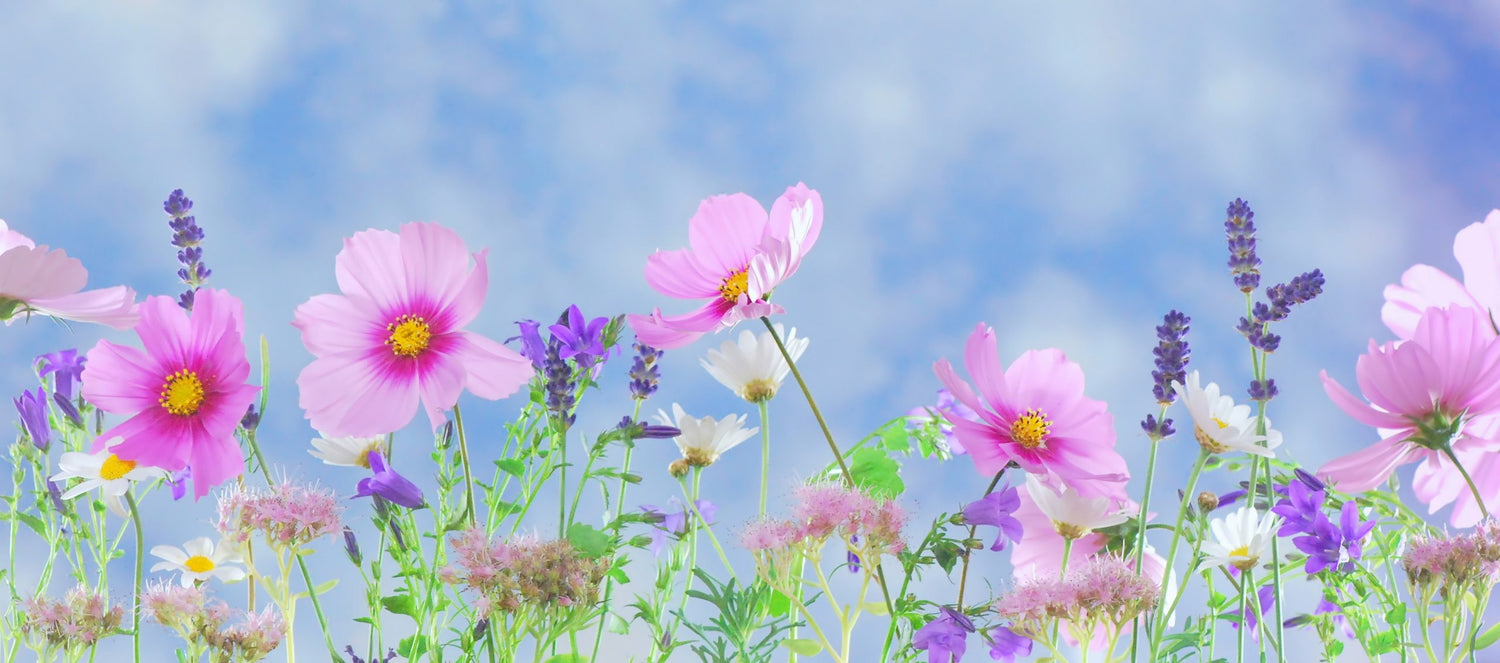 Sinus Migraine: When Sinus Pain is More Than a Headache