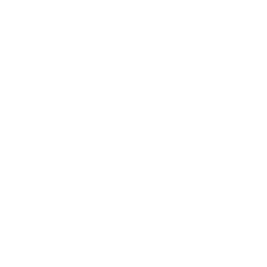 happiness icon