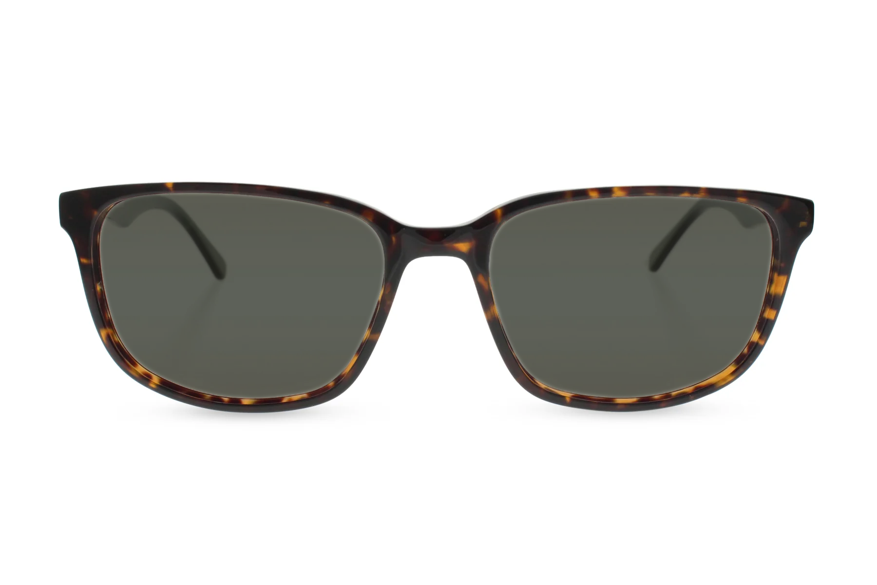 Kula tortoise glasses front#lens-type_avulux-atlas