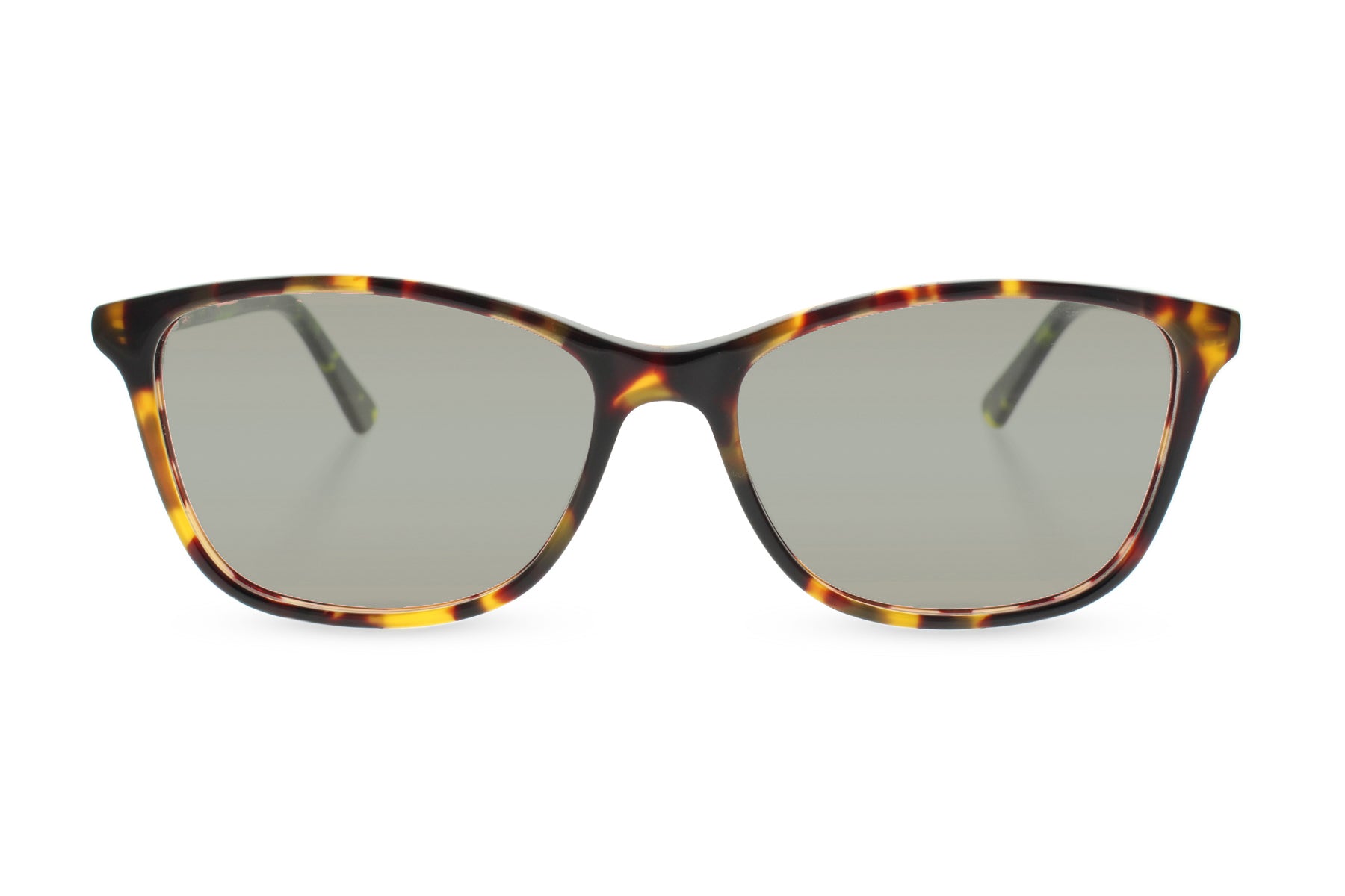 #color_tortoise