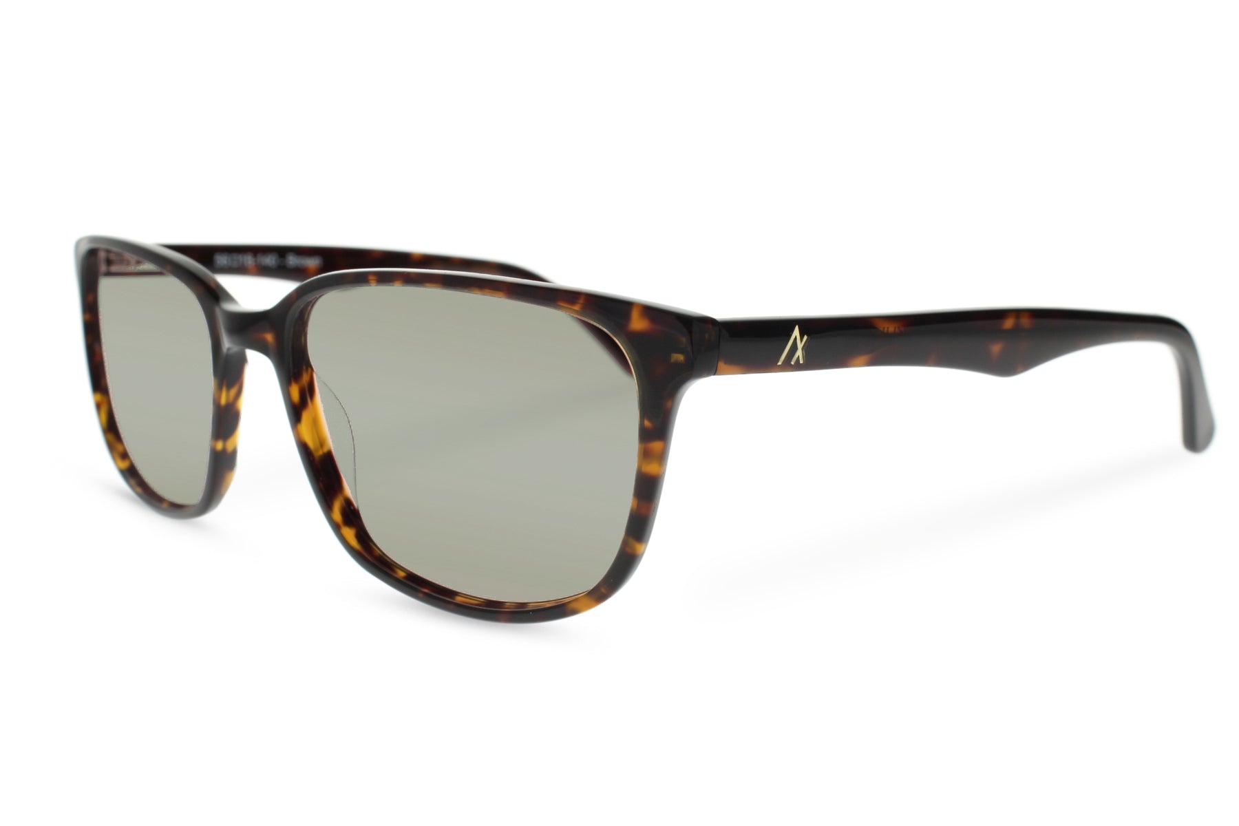 #color_tortoise