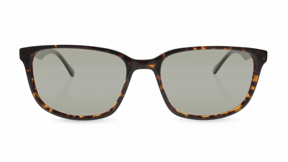 Kula tortoise glasses front#lens-type_avulux-adapt